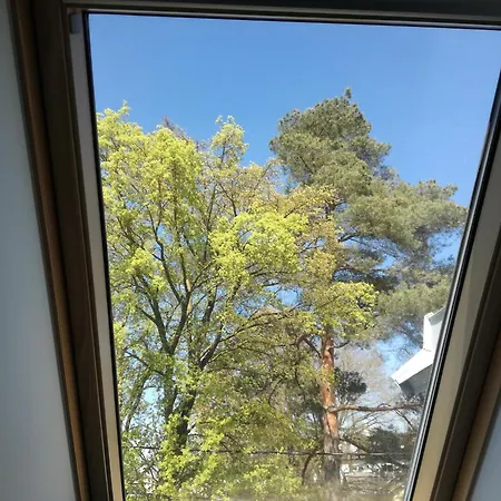 Wilken 2024 Apartamento