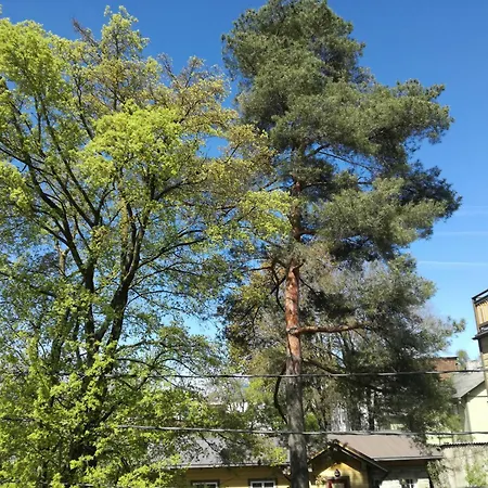 Wilken 2024 Apartamento Tallin