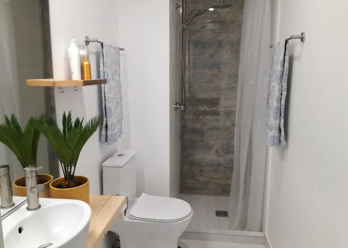 Appartement Wilken 2024 *