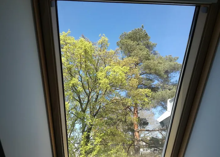 Wilken 2024 Апартаменты