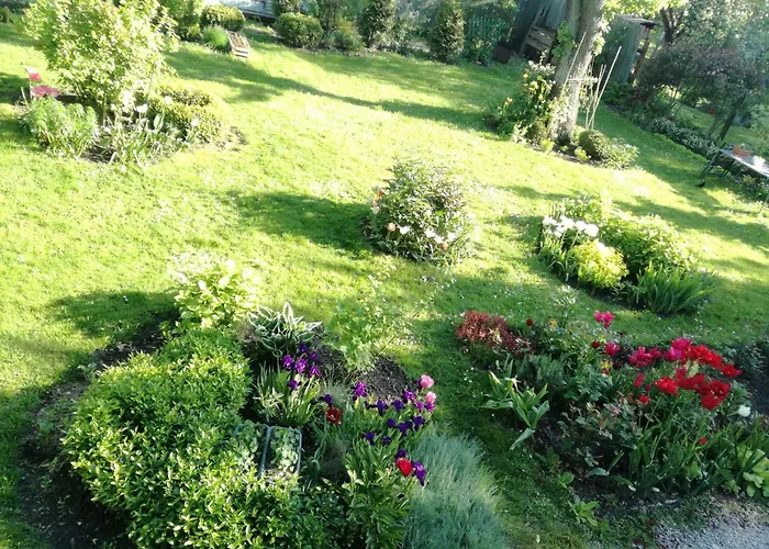 Appartement Wilken 2024 *